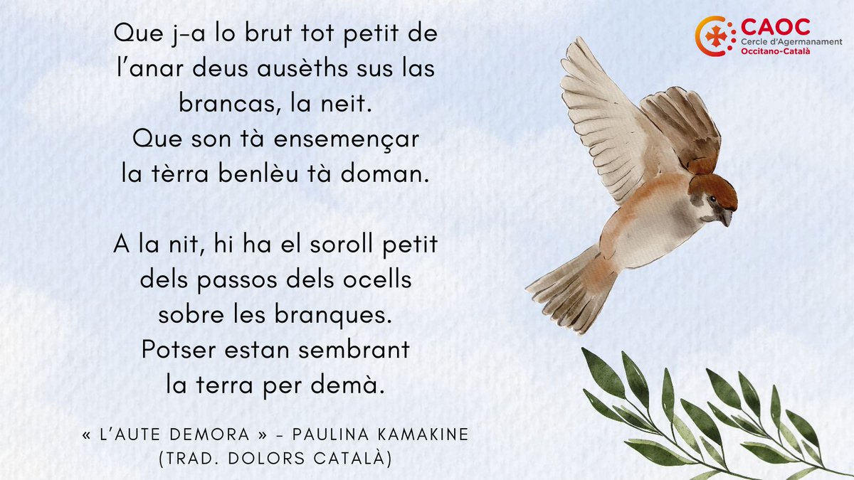 ✨Paulina Kamakine, "lou petit ausèth"🐦 

Cantant, poeta, dona, activista per l'occità, encarna l'esperit de les Trobairitz 🪶

#JornMondialdelaPoesia #DiaMondiauderaPoesia #DMP2024
