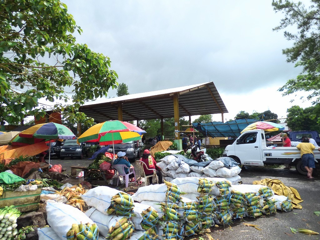 YUpu2UGvt4zXKHD's tweet image. 昼飯後、市場を見てたら

水「近くに温泉がありますけど入ってみます？」
ひ「温泉❗行く行く」

で、どんなとこかと思ったら「ちょっと待て」と云われ浴槽に湯を溜めだしてそこに浸かるという温泉だった…😅

お湯もぬるくて湯冷めしそうでトイレに駆け込むとここでもツタンカーメンの便器に再会…😅