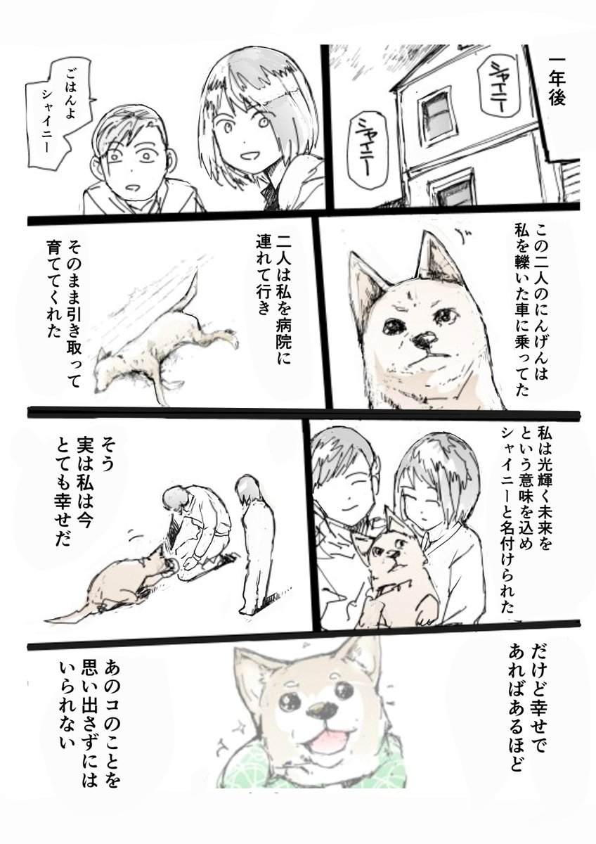 マメシバカフェにいられなくなった雌犬とそれを追いかける小さい柴犬の物語【6/8】 