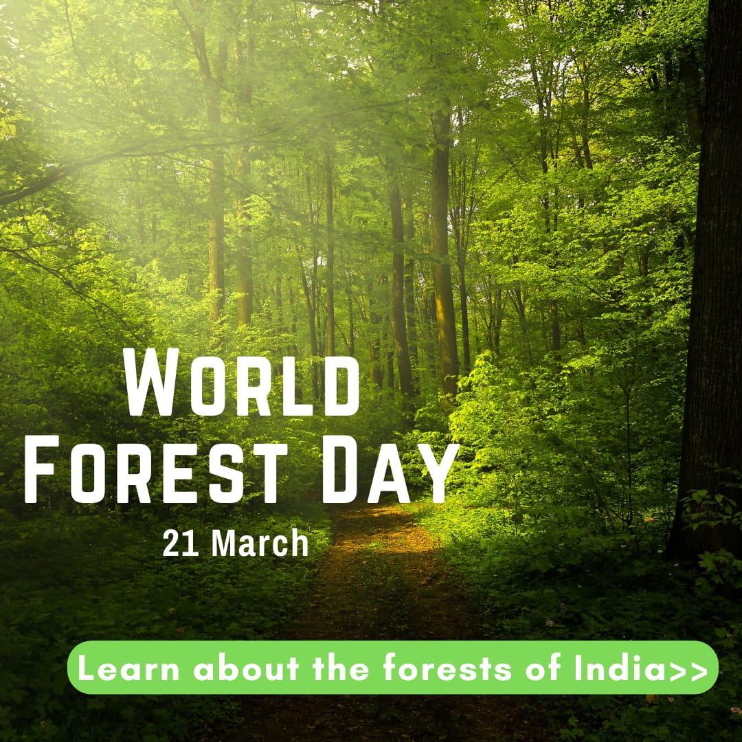 SamagrUnnayan1's tweet photo. Embracing nature's embrace on World Forest Day with Samagr Unnayan Foundation, planting seeds of hope for a greener tomorrow 🌿🌍 #WorldForestDay #SamagrUnnayan #ForestDay #environment #NGO #Sustainability https://t.co/vv30phxbi4