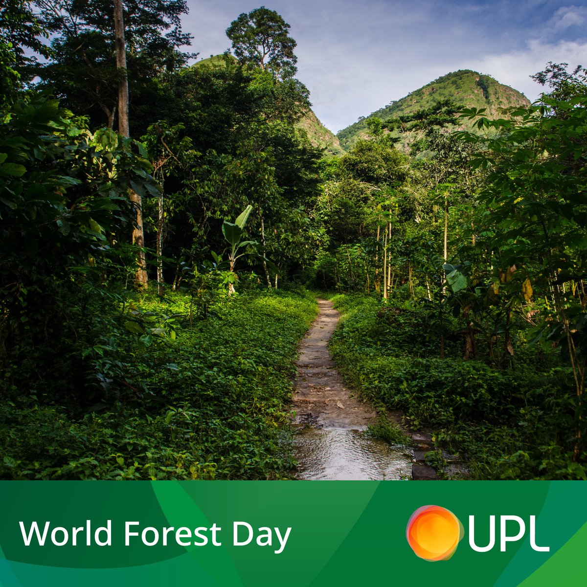 As the first agri-inputs company to join the Cocoa and Forests Initiative, we are proud to do our part to help end deforestation and restore forest areas in Côte d’Ivoire and Ghana. Learn more about the initiative: worldcocoafoundation.org/programmes-and… #WorldForestDay #UPL #ForestConservation