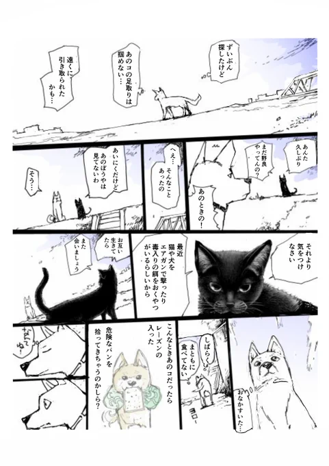 マメシバカフェにいられなくなった雌犬とそれを追いかける小さい柴犬の物語【7/8】 