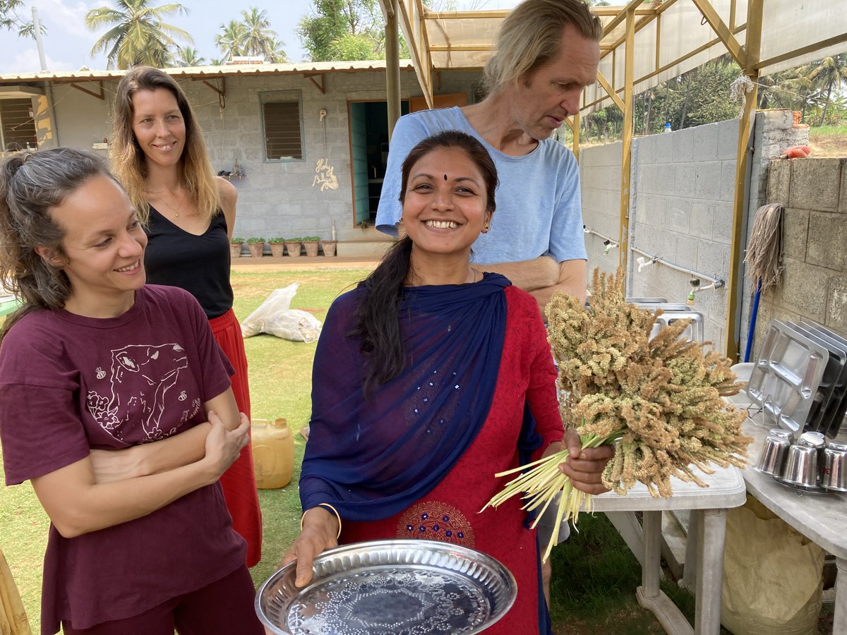 myyogagita's tweet image. From field to feast, we witnessed all the steps in the ragi (finger millet) harvest.

Have you ever experienced the joy of cooking with freshly harvested ingredients?

#farmtotable #traditionalcooking #holybellykitchen #happybelly #happyfood #joyfulcooking #joyofcooking