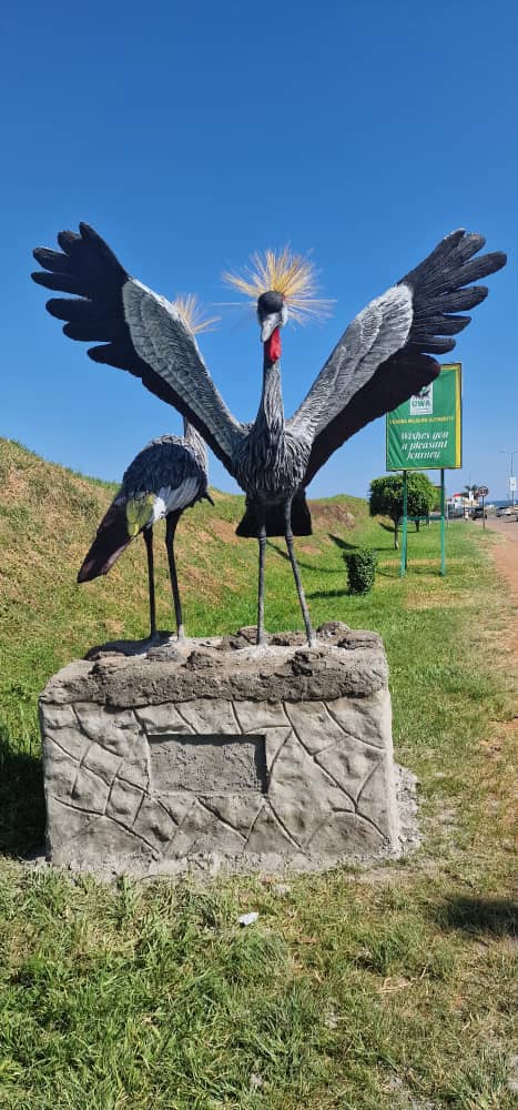 Over 15 life-size sculptures,crafted meticulously & perched atop pedestals will be scattered thruout Entebbe by the end of this month.They serve as tangible reminders of Uganda's ecological richness,& @UWEC_EntebbeZoo ongoing conservation efforts aimed at preserving biodiversity.