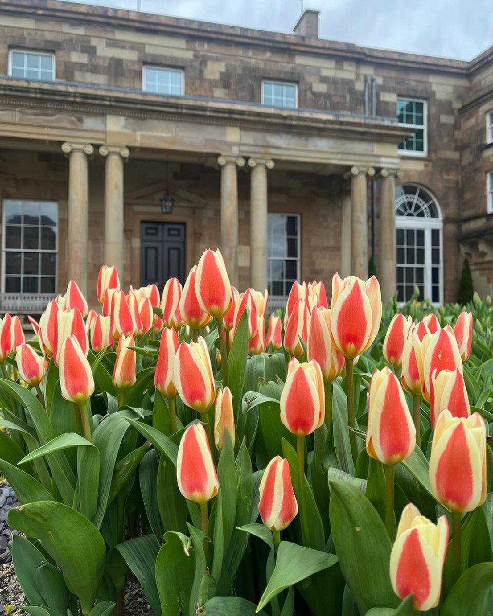 🌼 Spring has definitely sprung! 🤩 Did you know we have plenty of upcoming Garden Workshops... 💐 Easter Flower Arranging 💐 🗓️ Thursday 28 March 🌱 Seed Sowing 🌱 🗓️ Saturday 06 April 🌷Spring Handties 🌷 🗓️ Thursday 25 April 🎟️ 👉 brnw.ch/21wI4Q9