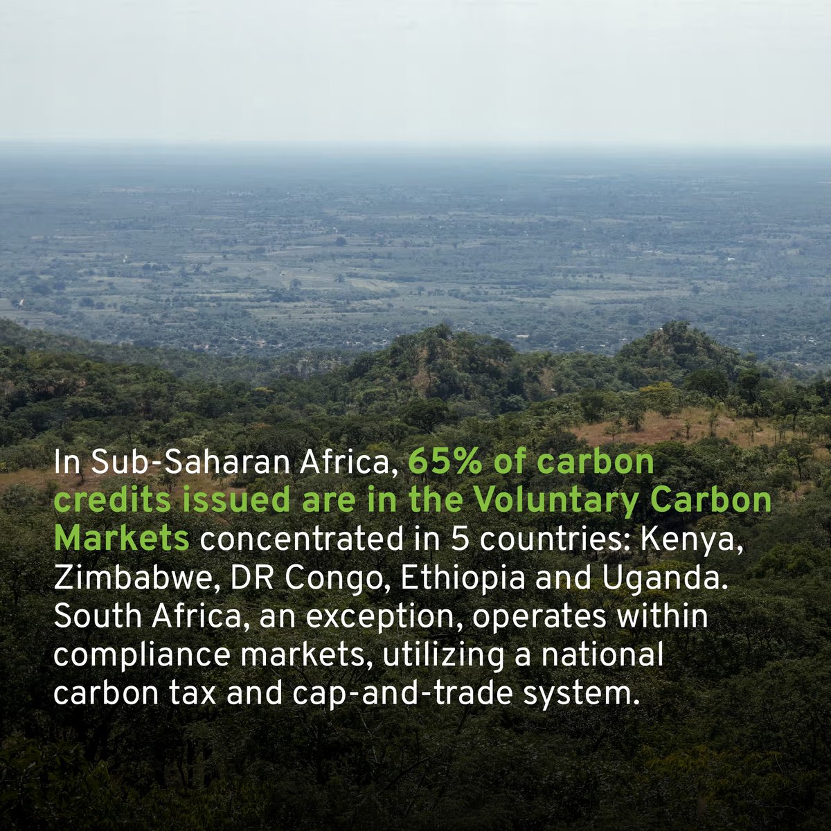 📌#DYK
 
65% of #carboncredits issued in Sub-Saharan Africa are all traded voluntarily in these 5 countries 👇;
✅Kenya 🇰🇪
✅Zimbabwe🇿🇼
✅DR Congo🇨🇩
✅Ethiopia 🇪🇹
✅Uganda 🇺🇬
#Carbonmarketsdialogue #landrightsforum #carbonmarketske