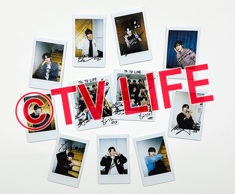 TVLIFE(テレビライフ公式) tweet media