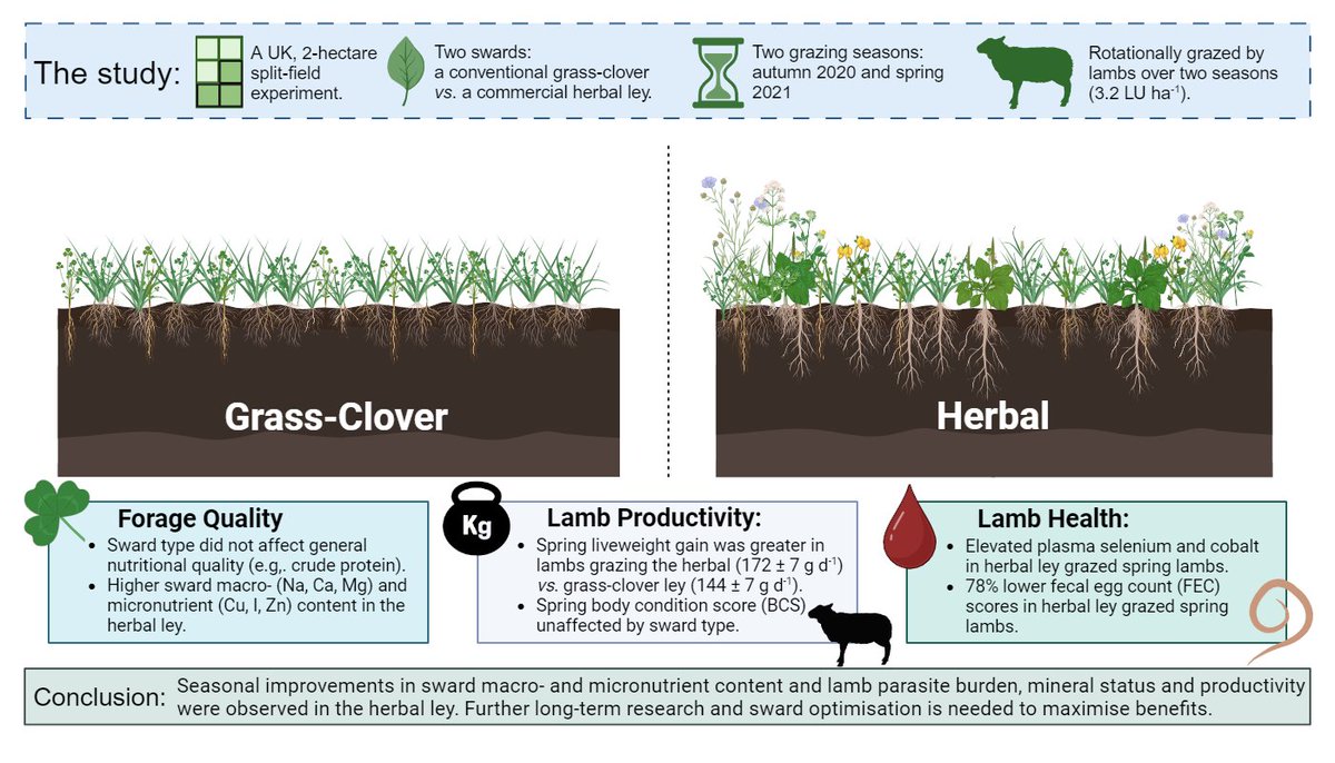 The next paper from the #SARIC project is now out! 🥳 Our study explored the effects of a #herbal and #grassclover ley on forage quality, #lamb productivity and health over two seasons. ☘️🐑🌱

Open access link below 👇

sciencedirect.com/science/articl…