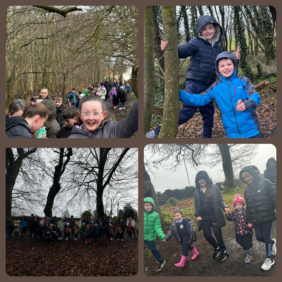 Nursery & P6 went on a walk in Derramore Woods!