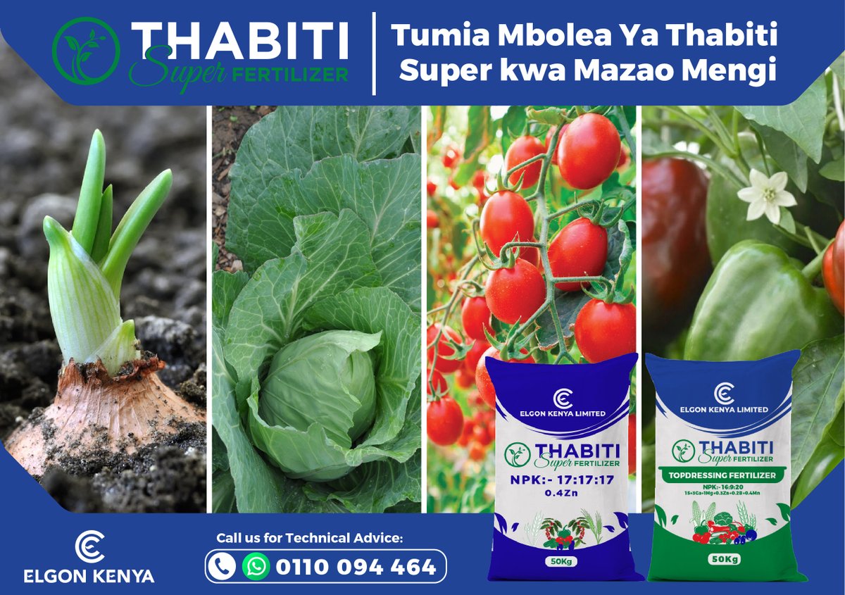 With 𝗧𝗵𝗮𝗯𝗶𝘁𝗶 𝗦𝘂𝗽𝗲𝗿 𝐍𝐏𝐊 𝗙𝗲𝗿𝘁𝗶𝗹𝗶𝘇𝗲𝗿𝐬 , you can be confident that your crops will get the optimal nutrition it needs, resulting in higher yields and better quality produce. Available At Your Local Distributor 📞 0110 094 464 #thabitinpkfertilizer #KOX