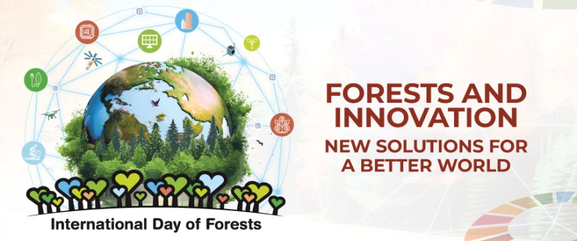 Happy International Day of Forests 2024! This year’s theme is “Forests and innovation”, highlighting how innovation can help to restore, protect, manage and use forests sustainably. #IDF2024