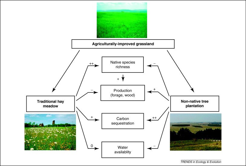 Quite some years ago we wrote a paper showing that restoration for ecosystem services - like carbon capture - could be in conflict with restoration for biodiversity

This issue seems even more pertinent now, and our diagram still extremely relevant
sciencedirect.com/science/articl…