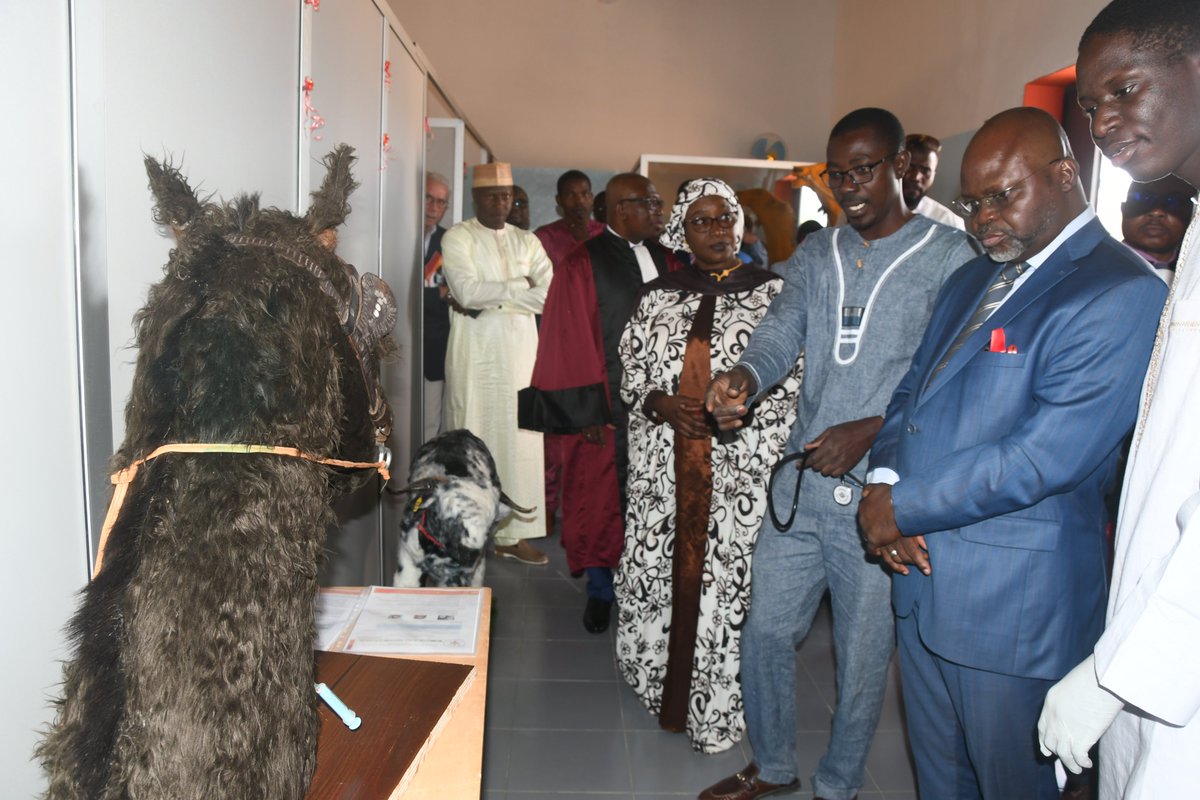 EISMV de Dakar tweet media