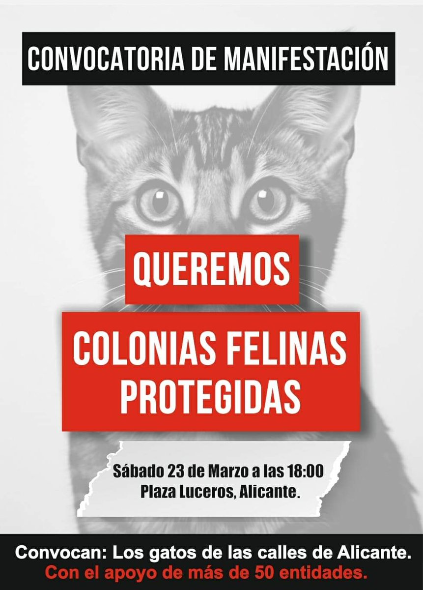 🇪🇸📢 Este sábado 23 de marzo, asistiremos a la presentación oficial de <a href="/NoEsMiCultura/">NoEsMiCultura</a> en Alicante a las 16h en ULab Coworking.

Y a las 18h nos sumaremos a la gran manifestación por las colonias felinas convocada por ACOFAL con salida desde Plaza Luceros.

¡Únete tú también!✊️