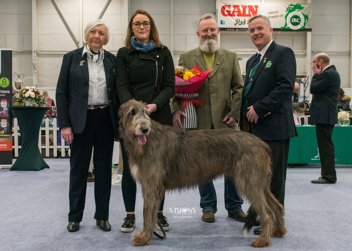 IrishKennelClub tweet media