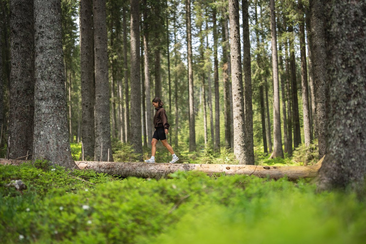 🌲World Forest Day is a reminder of forests' invaluable role in sustaining life on our planet. They provide us with oxygen, clean water and biodiversity but also offer solace, inspiration and a profound connection to nature. Let us pledge to cherish and protect our forests! 🙏🌿