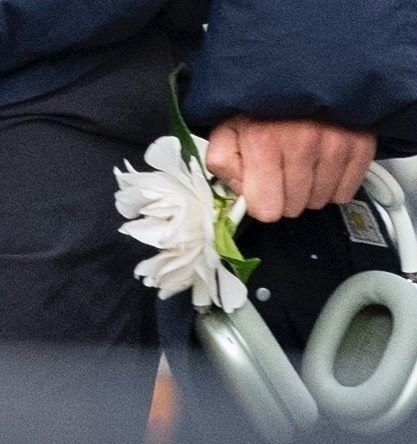 Harry carrying a flower out and about with James recently!