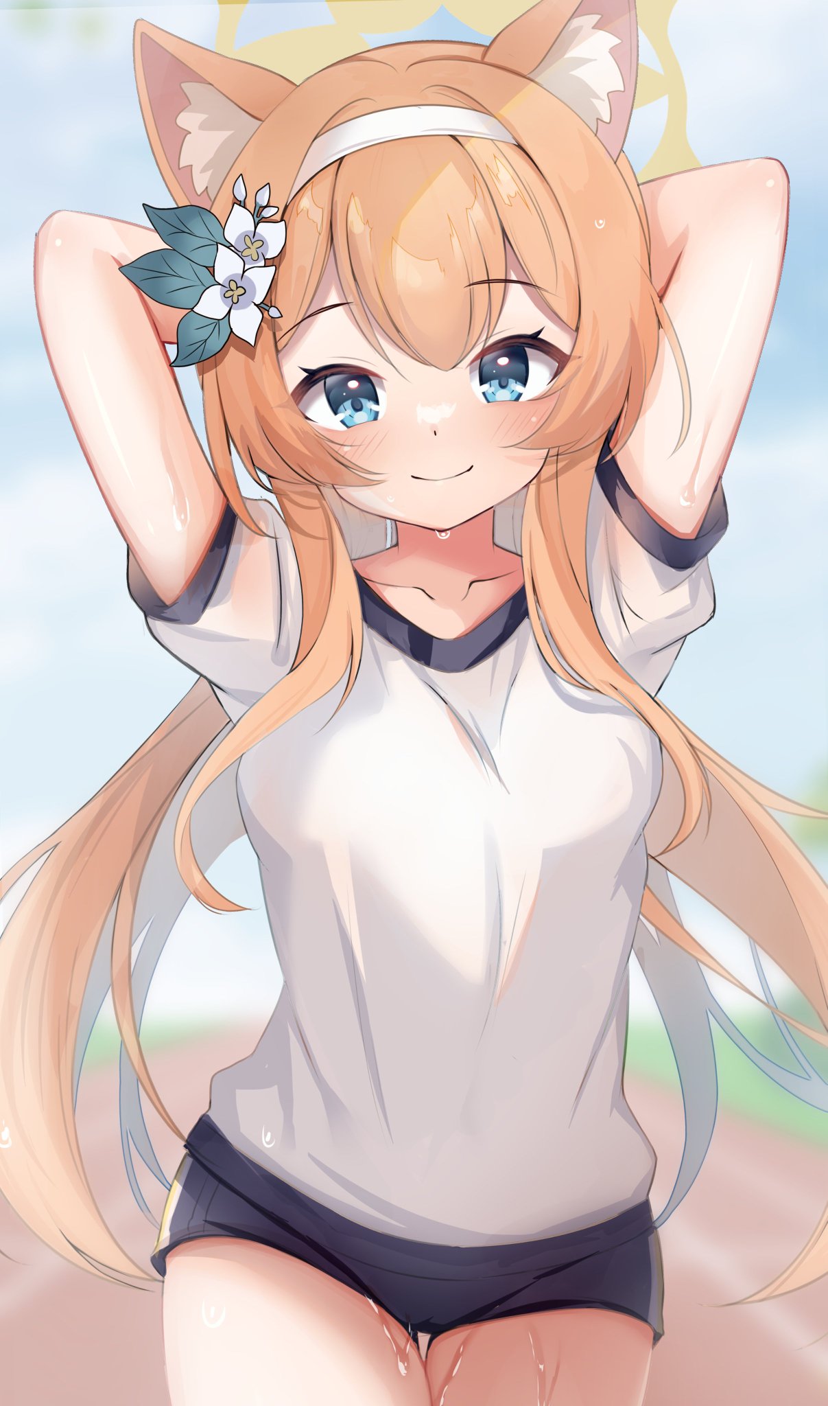 デカマラベニス 