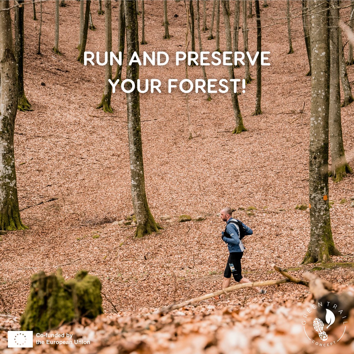 Ecoserveis's tweet photo. 🌲Happy #InternationalForestDay🌲
Forests are crucial for biodiversity, CO2 capture & our well-being. Join @GreenTrailCncpt in promoting sustainable #TrailRunning to protect these vital ecosystems💚#GreenTrailConcept #ForestPreservation
Read more: https://t.co/MtTDf1kvNq https://t.co/t0QOS2N8cd