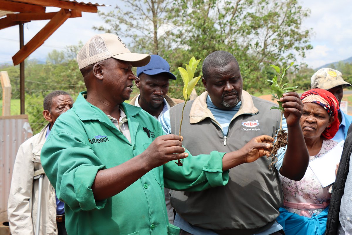 🌳 As we mark #ForestDay, let's celebrate stories of resilience and renewal. Read about Mary and Paul Mwanza's journey from corporate offices to fruit tree nurseries, thanks to #ACIAR and <a href="/CIFOR_ICRAF/">CIFOR-ICRAF</a> partnerships.

bit.ly/43nItY1

#ACIARImpact