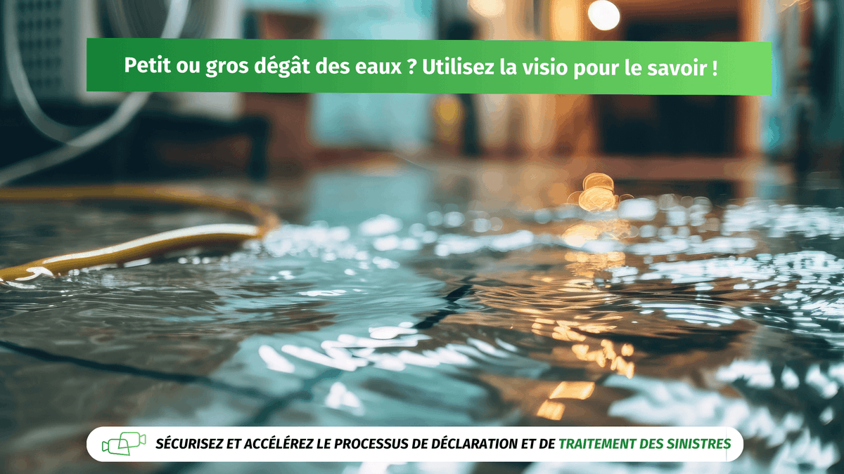 🤳Attestez et accélérez le traitement des dommages de vos clients à distance grâce à la visio assistance Speakylink ! 👉 En savoir plus ou obtenir une démo ?

🔎speakylink.com/service-dommag…

#expertise #EAD #speakylink #visio