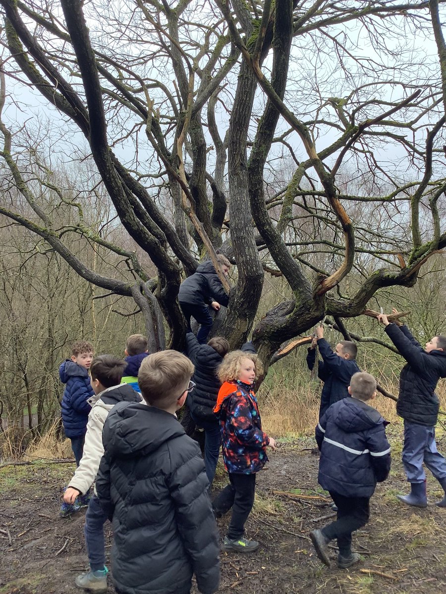 P4B loved their trip to the woods this week with 'Kids Gone Wild'. We were able to work as a team to solve problems and had lots of fun supporting one another.