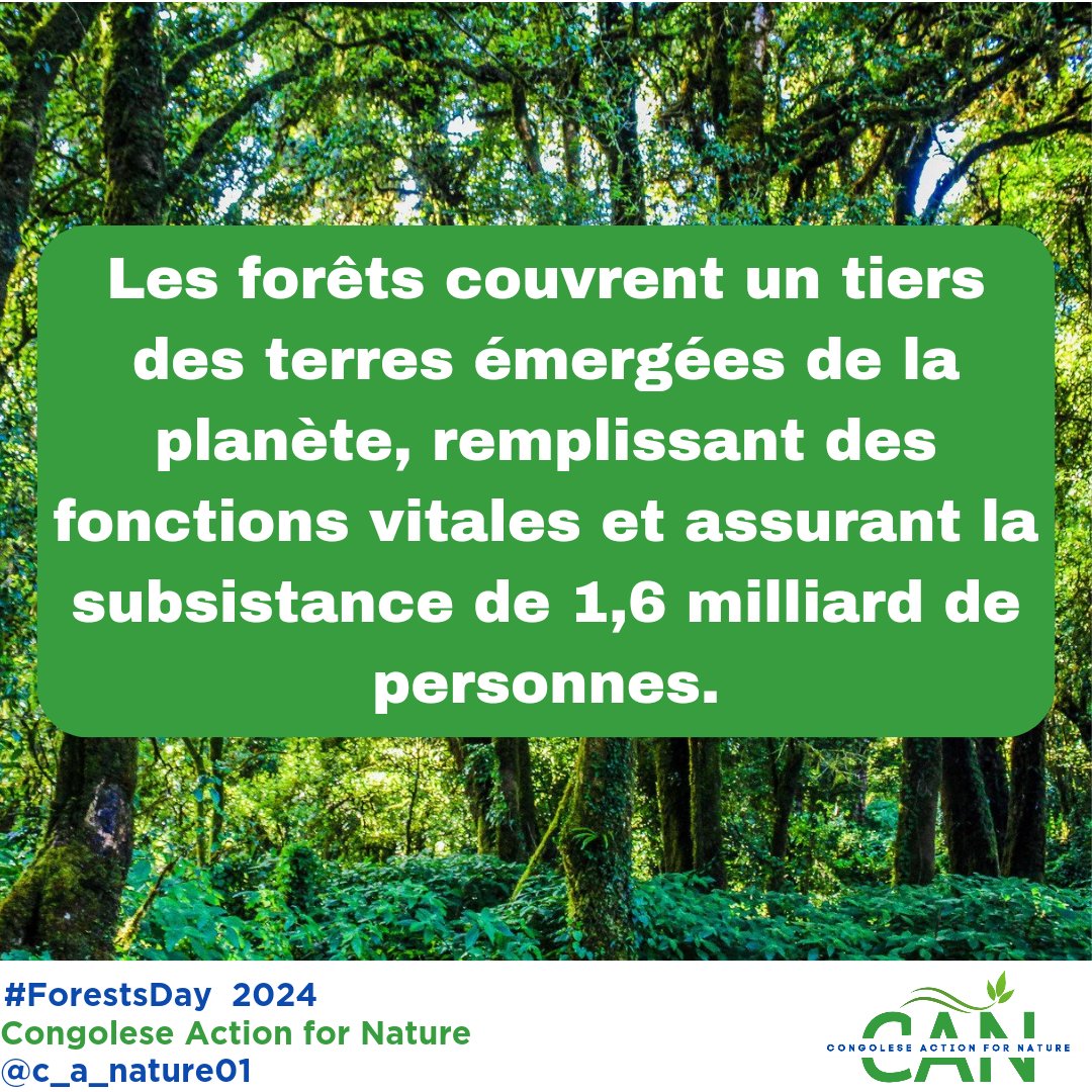 Les forêts couvrent un tiers des terres émergées de la planète, remplissant des fonctions vitales et assurant la subsistance de 1,6 milliard de personnes. #ForestsDay  @UNEP
#CongoleseAction4Nature