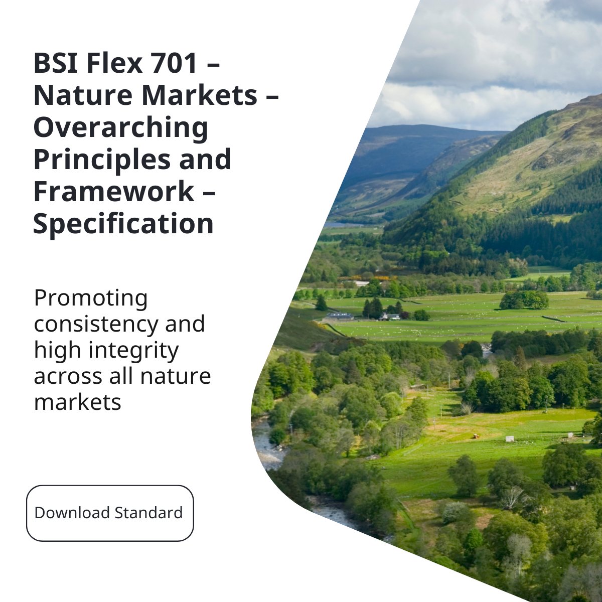 Announcing BSI Flex 701, a new standard promoting consistency and high integrity across all #NatureMarkets. Backed by @DefraGovUK, it provides requirements for designing and operating high-integrity nature markets. Get your free copy today: bit.ly/4a3rIUf #BSIStandards