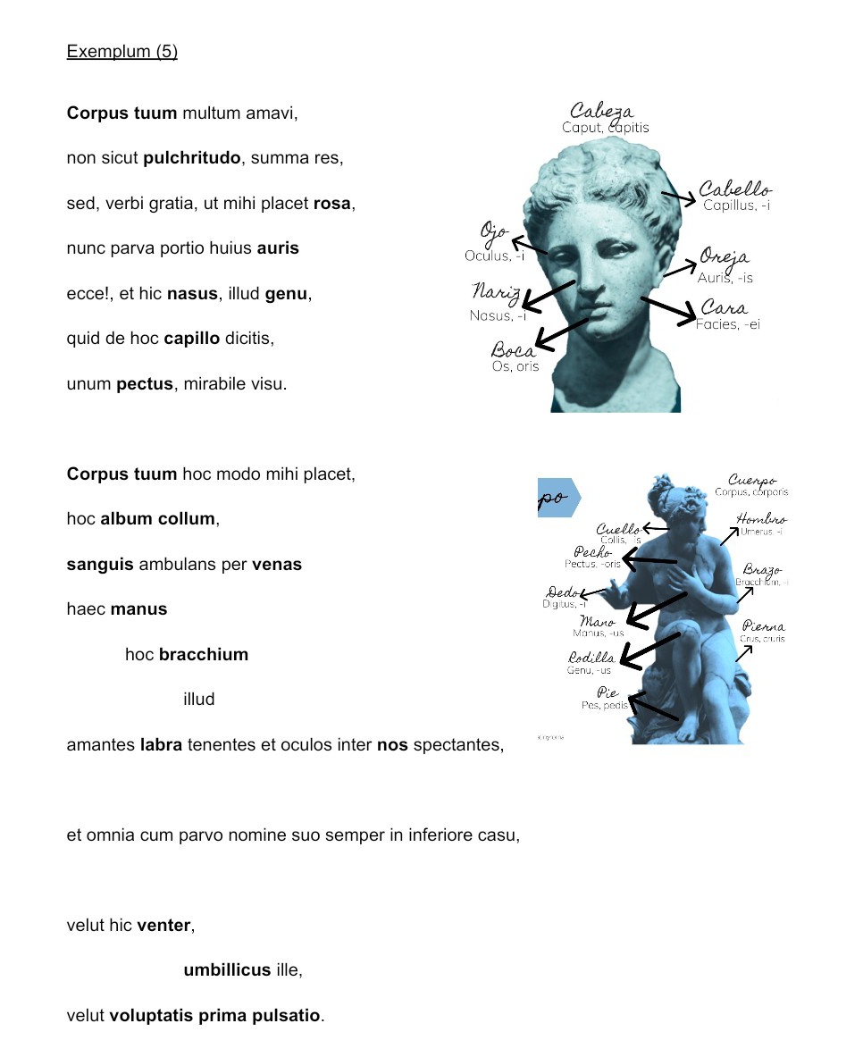 BastonsMontse's tweet image. En honor al #poema d&apos;#Estellés d&apos;enguany (#DMP24 #poesia @lletres @AnyEstelles), en #llatí, #activitats per treballar #morfosintaxi, #vocabulari i #creativitat a #classe. 
 
cultura.gencat.cat/ca/ilc/que-fem…

@educaciocat @literaturacat @AplecClassiques #literatura #humanitats #clàssiques