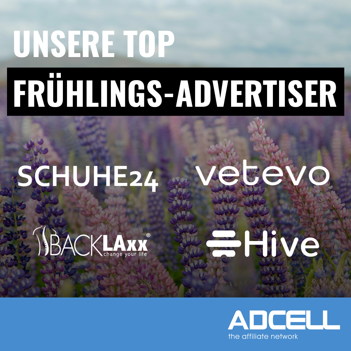 🌷Die blumige Jahreszeit ist endlich da! Der Frühling bringt nicht nur blühende Natur, sondern auch eine Fülle von bunten Aktionen von unseren Top Advertisern.
Werfen wir einen Blick auf unsere Top Frühlings Advertiser:
<a href="/schuhe24/">Schuhe24</a>
<a href="/vetevo_de/">vetevo</a> 
<a href="/hive_outdoor/">Hive Outdoor Living</a>
<a href="/backlaxx_/">BACKLAxx®</a> 

#Affiliate