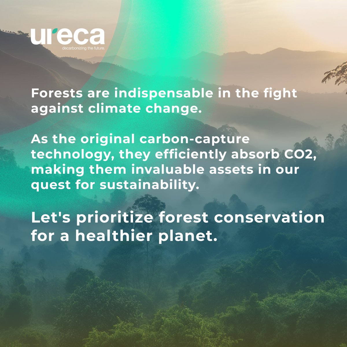 🌳This year’s International Day of Forests celebrates the theme of Forests and Innovation.💡 🌏At URECA, our mission is to build innovative solutions that can empower those who are protecting and restoring our forests.🌱 #ForestDay #ClimateAction #ProtectOutForests #ClimateChange