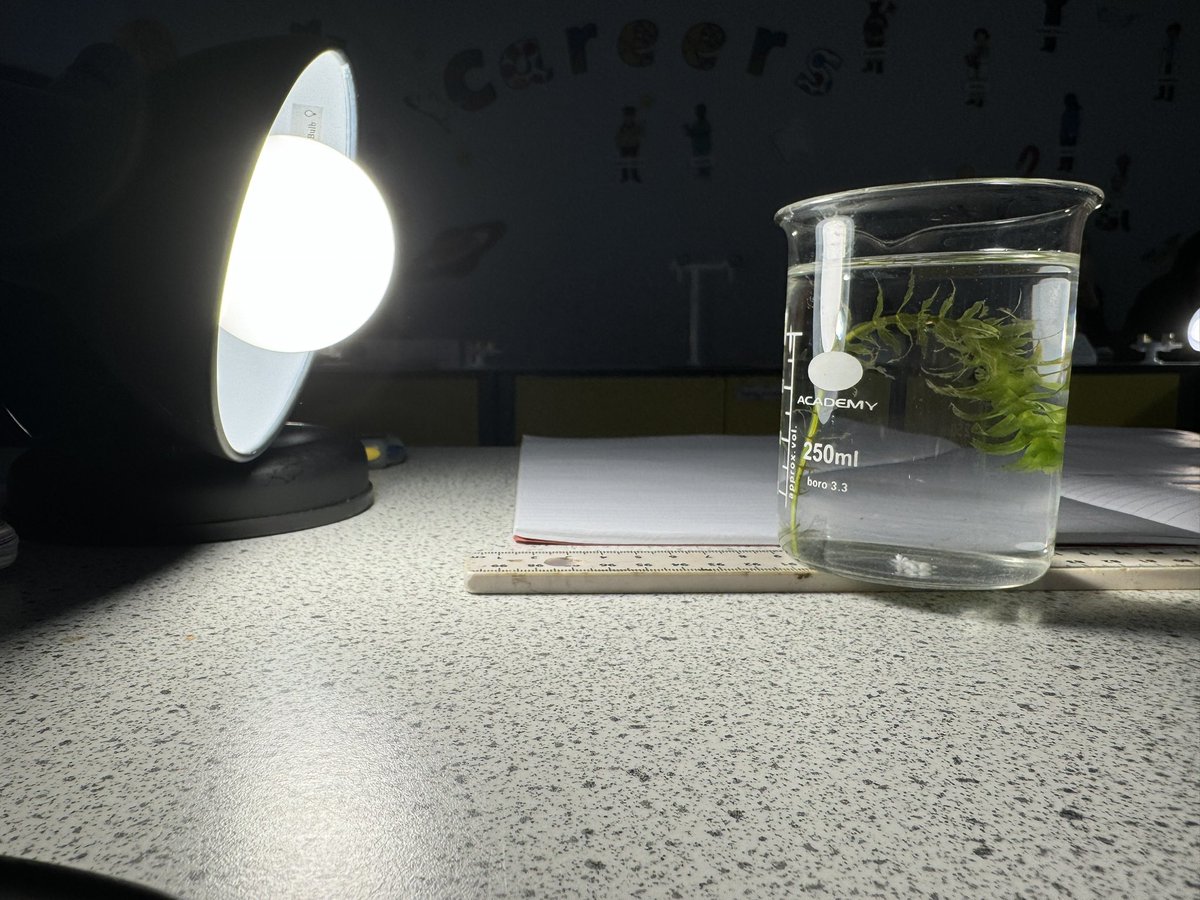 OACaScience's tweet photo. 🔬 Shedding light on photosynthesis! Year 10s just completed their pondweed light intensity experiment. 💡 Witnessing science in action as they measure and analyse data 🌱 #STEM #science @OACarlton @OutwoodScience https://t.co/i9pOxqSPw6