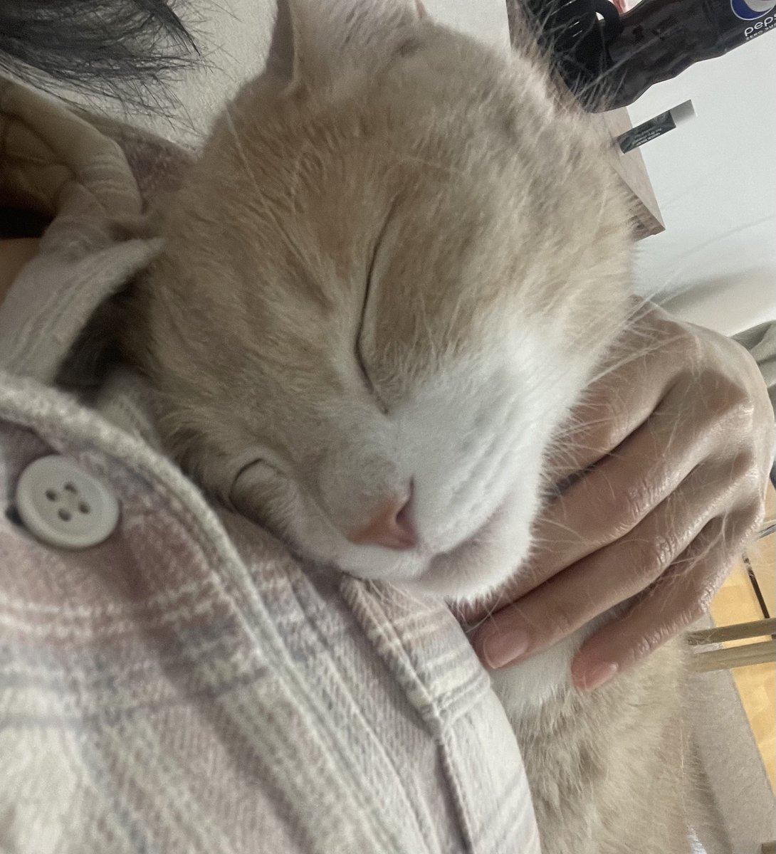 요즘 집에만 오면 침대 올라와 왱왱 울면서 같이 낮잠 자자구 함..
자는 모습 너무 천사 같아서 거절 할 수 x…
그래서 잠옷으로 빨리 갈아입는 스킬이 500 오름