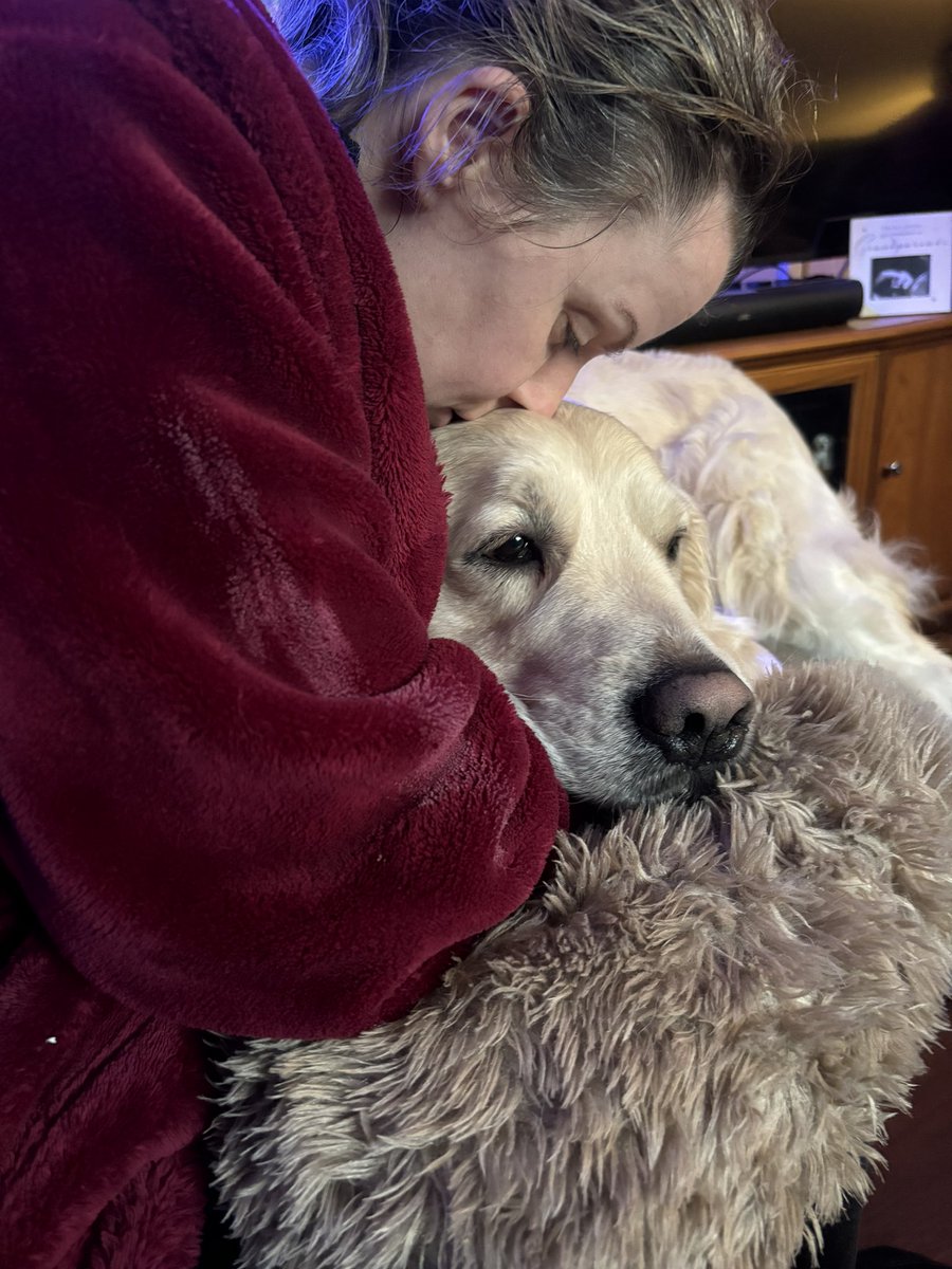 I am soooooo not enjoying these kisses. Absolutely hate them. I’m being held against my will. I am! Just one more 🥰 #goldenretriever #love