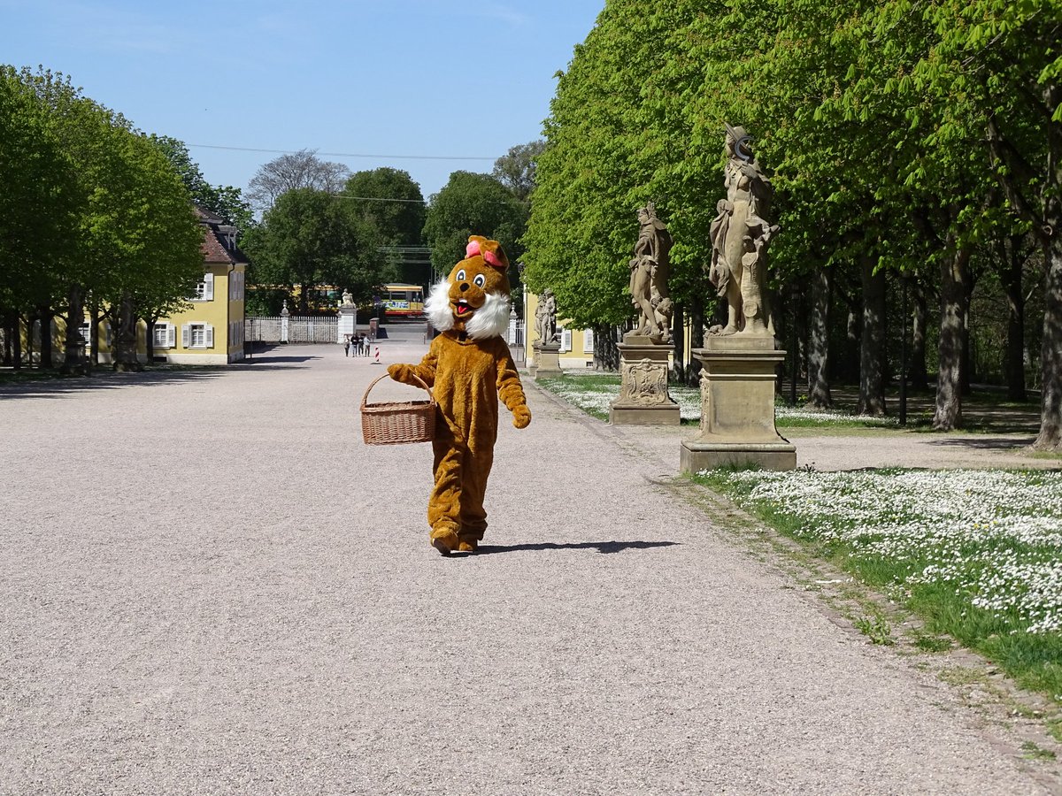 Wir wünschen einen tollen Start in die #Osterferien! 🌷🌼 ➡️ Noch auf der Suche nach einem #Ausflugsziel für die Feiertage? Dann schauen Sie gerne in #SchlossBruchsal vorbei. 😉 Am Ostersonntag, 31. März hoppelt dort der #Osterhase höchstpersönlich durch den Schlossgarten. 🐰