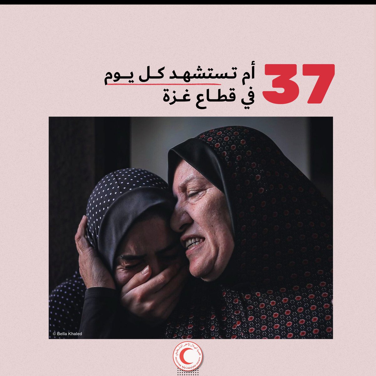 PalestineRCS's tweet photo. 37 mothers are killed every day in the #Gaza Strip. #GazaChildren #GazaWomen #MothersDay #يوم_الام https://t.co/GV8rrkZiC8