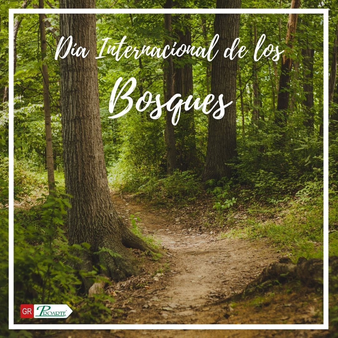🌳🌍 ¡Feliz Día Internacional de los Bosques!
Hoy celebramos la belleza y vitalidad de nuestros bosques, hogar de innumerables especies.
¡Cuidemos y protejamos nuestros bosques para las generaciones futuras! 🌲💚 

#DíaInternacionalDeLosBosques #CuidemosNuestroEntorno
