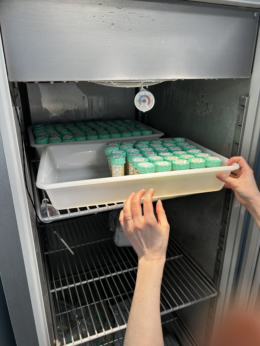 Kyakyo_'s tweet image. Got to visit the @MilkBankChester on behalf of @ATTABreastmilk yesterday and finally saw the @memorymilkgift tree for myself! It’s beautiful work we get to do trying to save frail newborns and I look forward to learning more from Laura and her amazing team! #donorbreastmilk