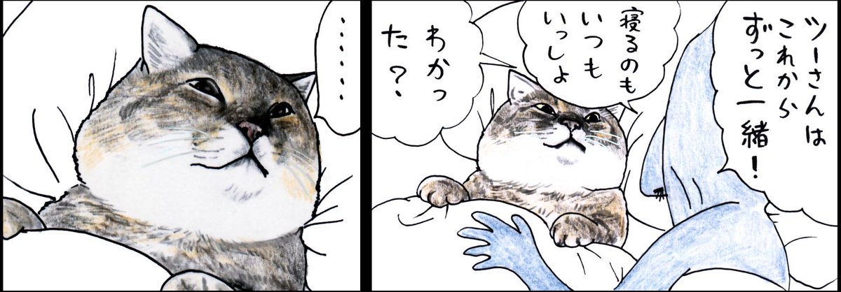 べつのニンゲンのところにいたこともあったんだけど、その人はいなくなっちゃった。
だからおじいちゃんにもメシだけもらって出てこうと思ってたんだけど、ここにいろ、ここに住めってしつこかったんだよ。 