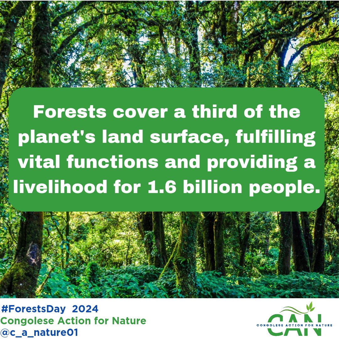 Forests cover a third of the planet's land surface, performing vital functions and providing a livelihood for 1.6 billion people.
 #ForestsDay @UNEP
#CongoleseAction4Nature