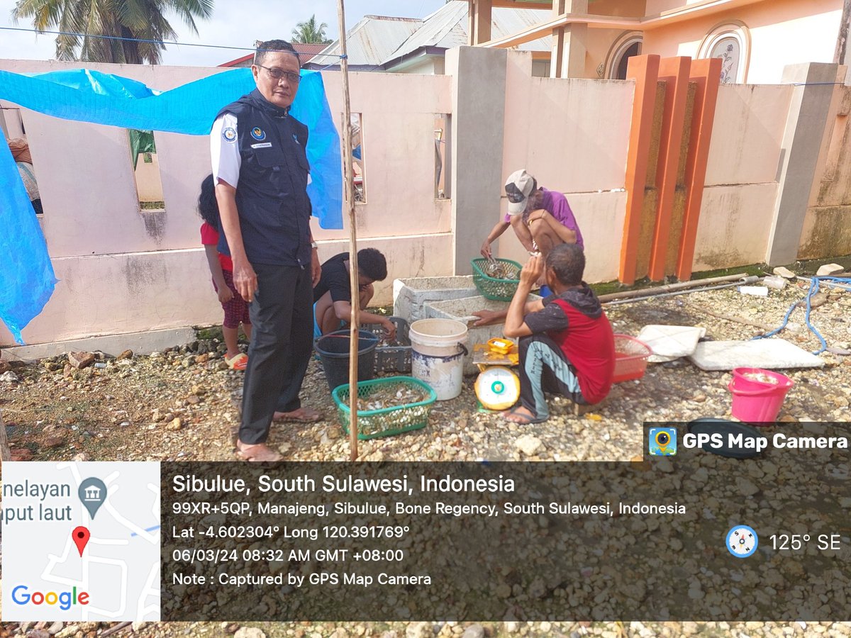 MSyafruddin15's tweet photo. Rabu (6/3/2024), M. Syafruddin, Luhkan Kab. Bone, di KUB Sipakaenre, Buana laut Ds Manajeng melaporkan tangkapan Rajungan, Bubu, malam sebanyak 300 kg, harga Jual rp. 50.000/kg #GiatLuhkanSatminkal Maros#Bone #Tangkap https://t.co/ihu6NYjVN6