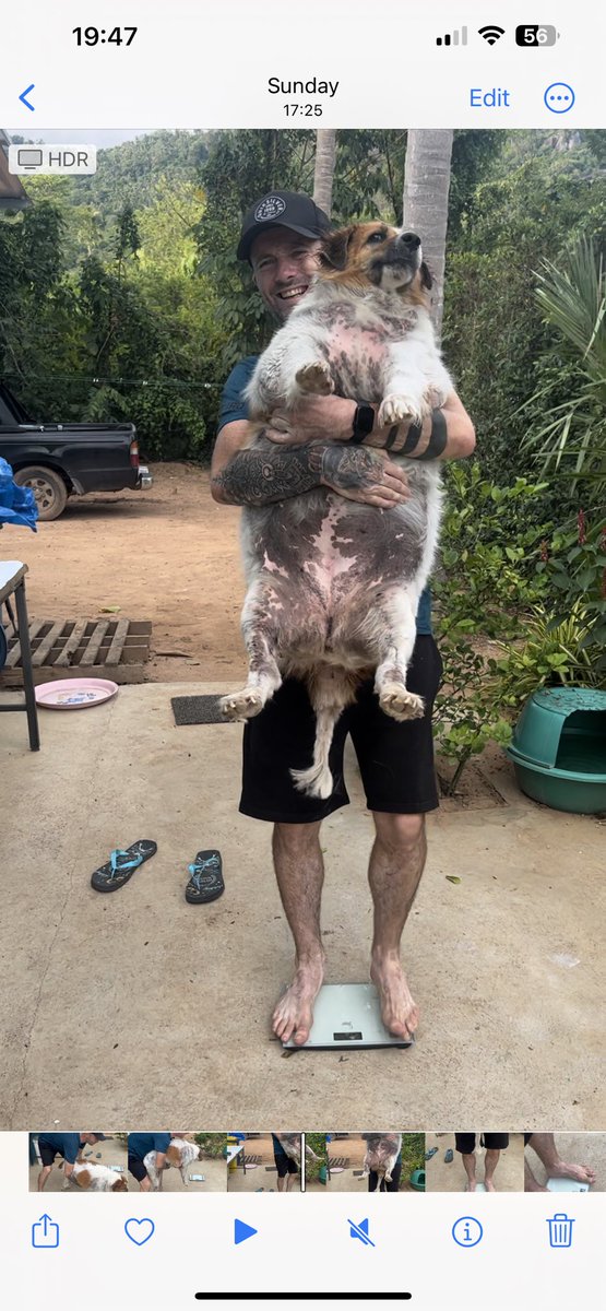 Niall Harbison tweet media