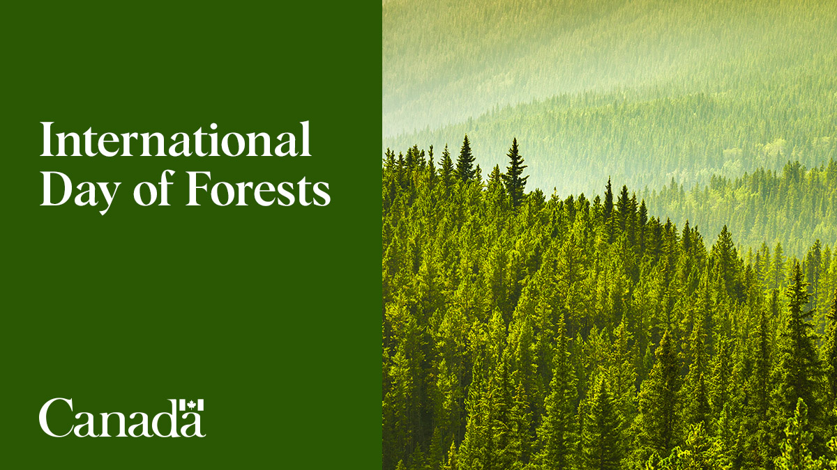 Natural Resources tweet media