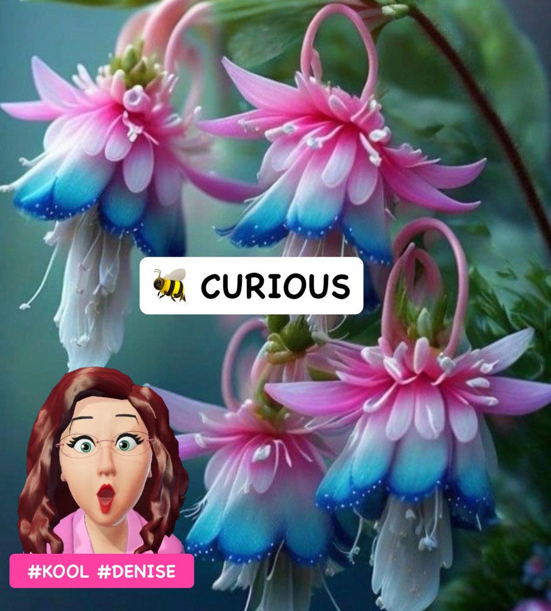 🐝 CURIOUS

#Curious
#CuriousMinds
#CuriousMindsUnite
#CuriousMindaWantToKnow

#Thursday
#ThursdayThoughts
#ThursdayVibes
#ThursdayMotivation

#TrendingNow🥁👇 

#Bridgerton 
#faiz 
#TATAIPL2024 
#TopChef 
#กลิ่นไหม้ 

#KOOL #DENISE
@KOOL_DENISE