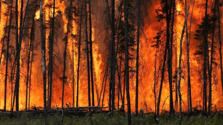 Climate warming is projected to increase wildfire activity and impacts, emphasizing the need for better scientific understanding of fires. Check out the #AGUPubs special collection of articles that advances our understanding of fire: lite.spr.ly/6004aiE #ForestDay