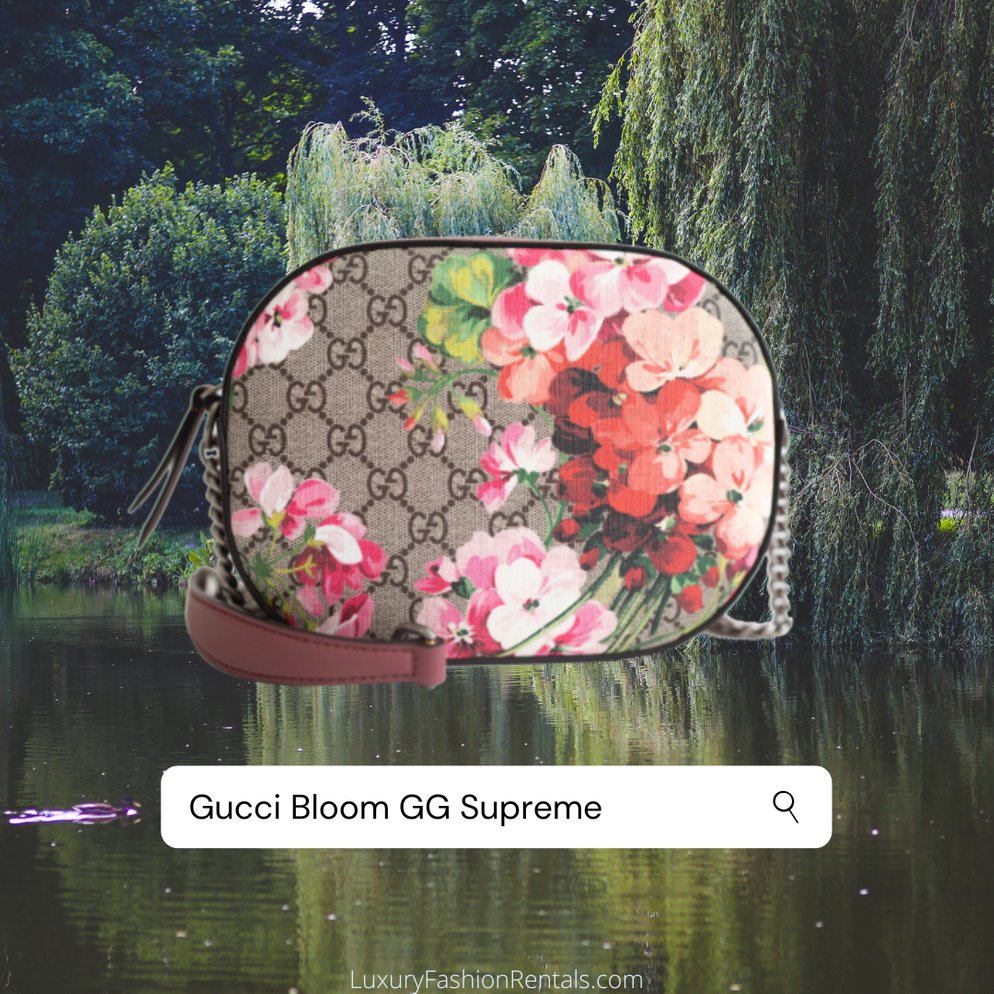 Featuring the beautiful #GucciGGSupreme ✨
.
#purselover #handbaglover #bagsofinstagram #handbagstyle #bagaddict #handbagaddict #handbag #lvbags #guccibags #lvaddict #gucciaddict #chanelbags  #baglover #pursecollection #purseforum #bagporn #handbagquotes #luxuryfashionrentals