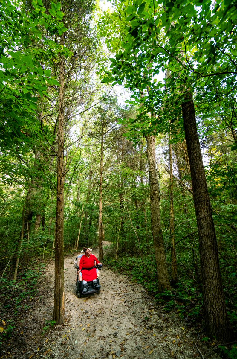 Point Pelee National Park, Parks Canada tweet media