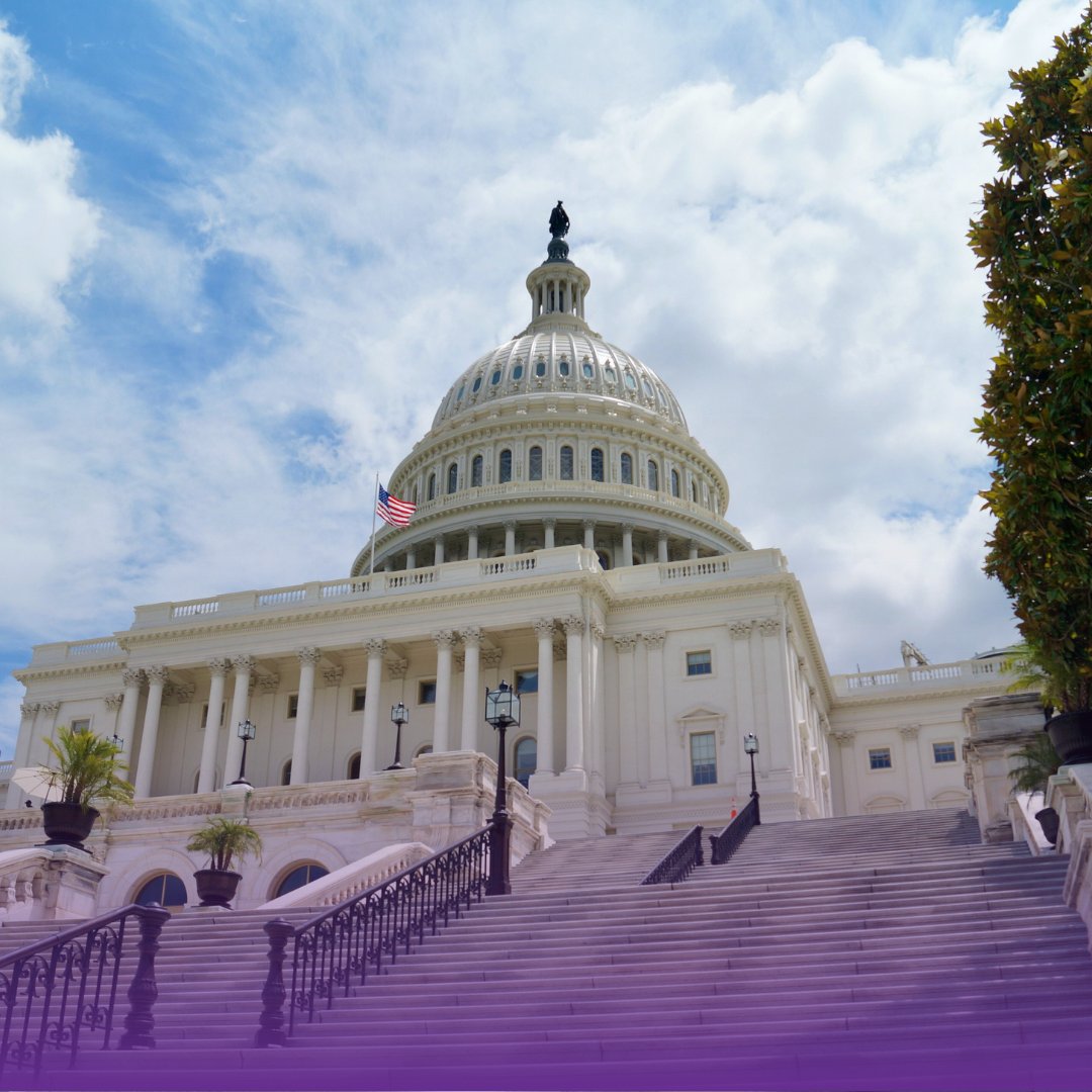 GovCon offers revenue opportunities but poses challenges. Our blog discusses 4 common issues and strategies for small businesses. Conquer GovCon challenges with us. Read more: purplemooseconsulting.com/blog/

#PurpleMooseConsulting #PurpleMoose #GovCon #SmallBusiness