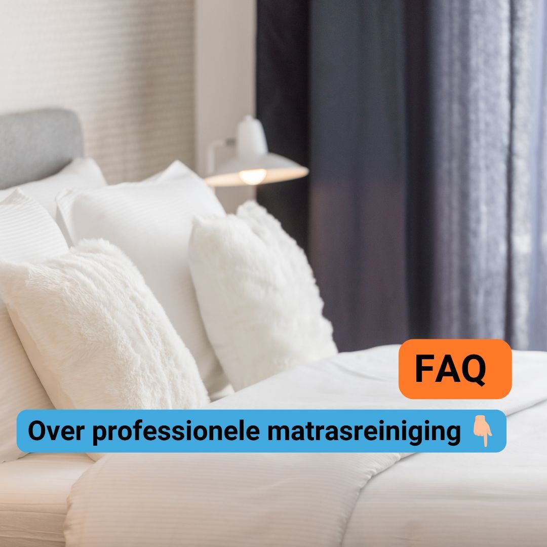DokterBed's tweet photo. Hoe vaak moet een matras worden gereinigd?
Uw matras 1-2 keer per jaar laten reinigen is het beste voor uw gezondheid, ligcomfort en de levensduur van uw matras. Allergieën, luchtvochtigheid en huisdieren hebben hier uiteraard invloed op. Meer tips? Check https://t.co/xEtasTXEe8. https://t.co/07978jve8e