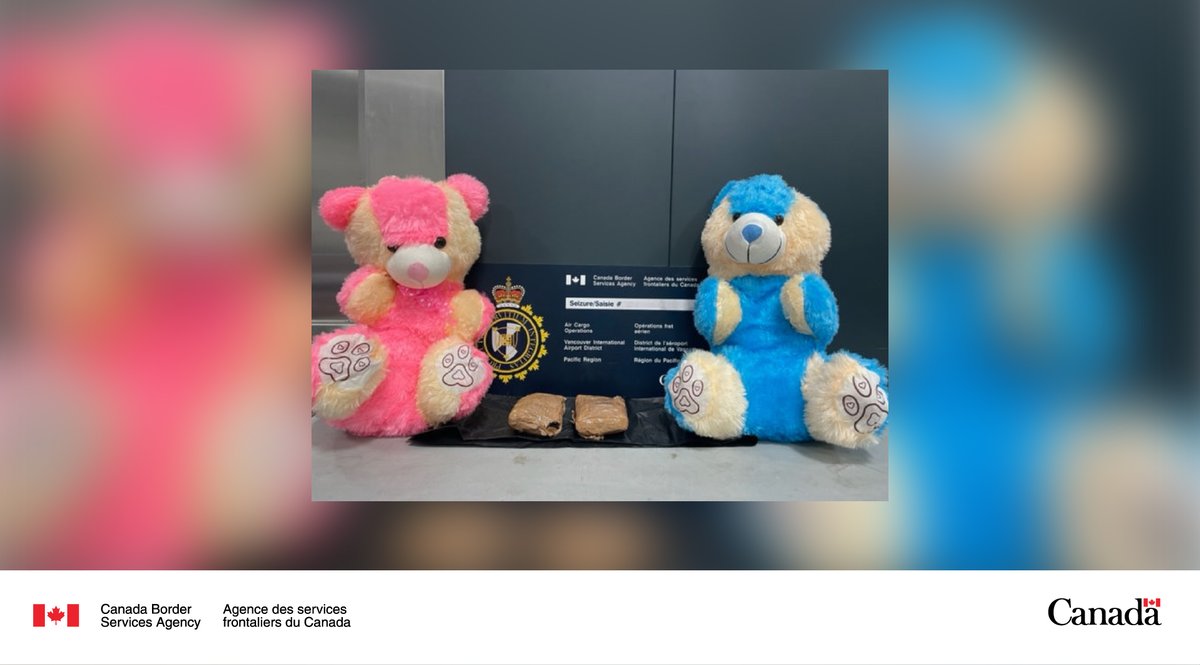 #CBSA officers at @yvrairport Commercial Operations intercepted 1kg of opium hidden in two plush bears. Smuggling drugs across the border is illegal, and using children's toys elevates the risk they could fall into the wrong hands. #ProtectingCanadians